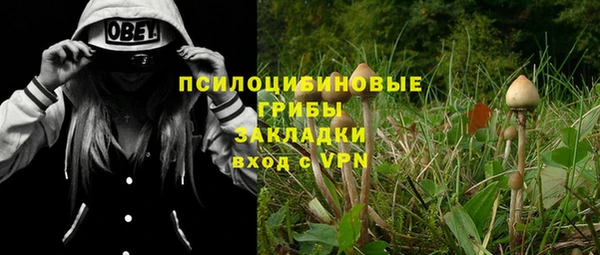 а пвп мука Белокуриха