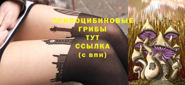 а пвп мука Белокуриха
