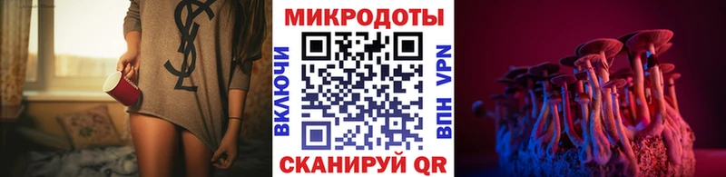 Галлюциногенные грибы Psilocybine cubensis  Великие Луки 