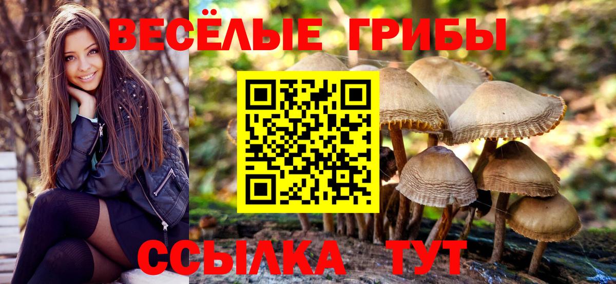 Галлюциногенные грибы мухоморы  Псилоцибиновые грибы Psilocybine cubensis  Великие Луки  купить   Вход с VPN 