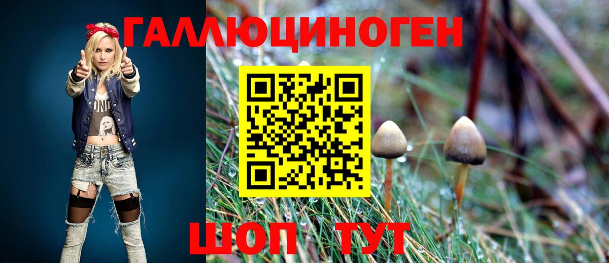 Псилоцибиновые грибы Magic Shrooms Великие Луки