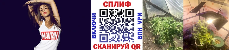 Марихуана индика  Великие Луки 